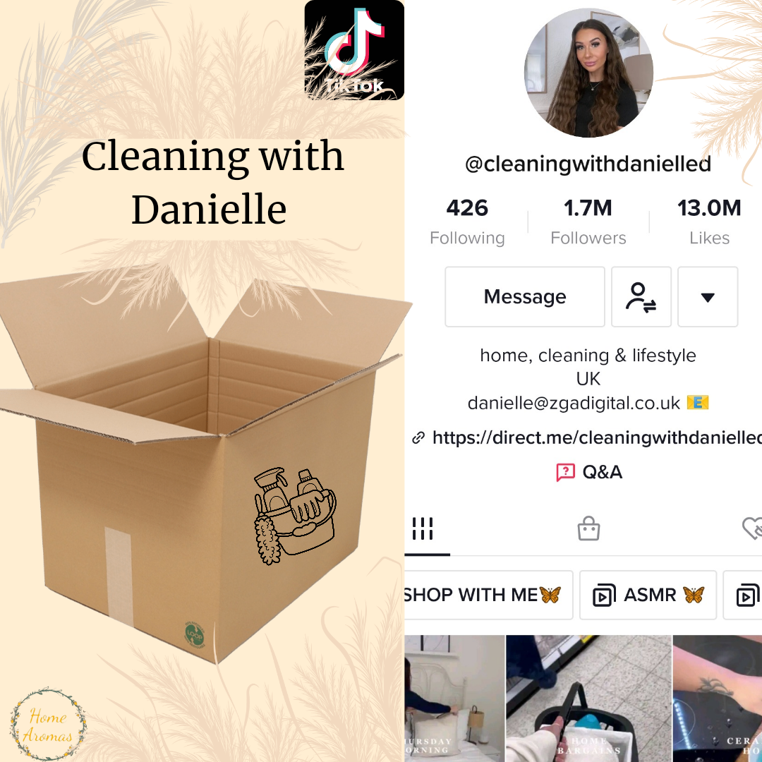Cleaning with Danielle Box
